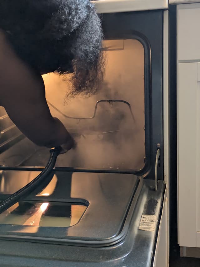 Team member performing professional cleaning